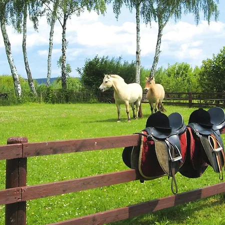 Σπίτι διακοπών Seepark Heidenholz, Plau Am *