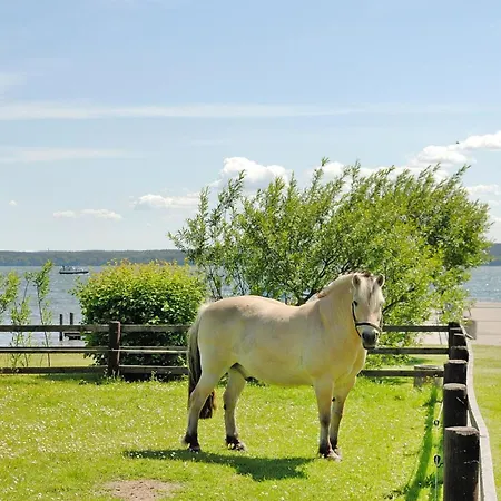 Seepark Heidenholz, Plau Am