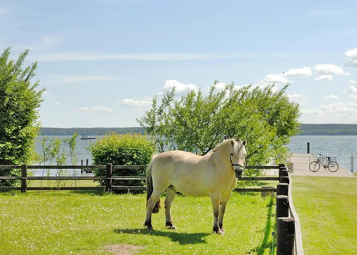Seepark Heidenholz, Plau Am Дом отдыха *